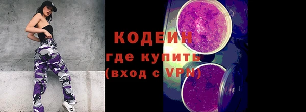 стафф Корсаков