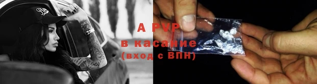 стафф Корсаков