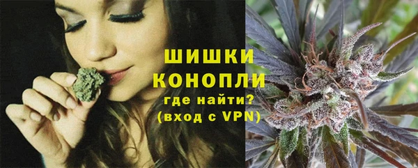 прущие грибы Козельск