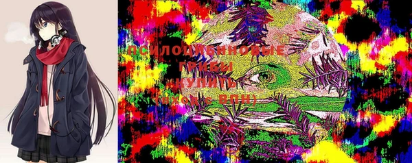 твердый Костерёво