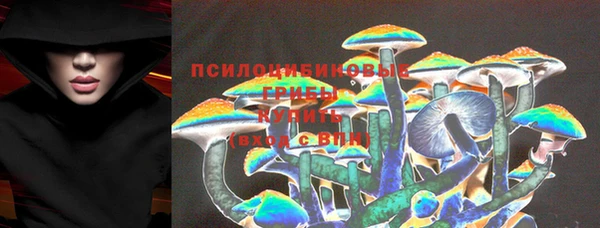 стафф Корсаков
