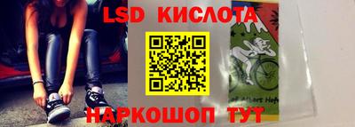 индика Рузаевка