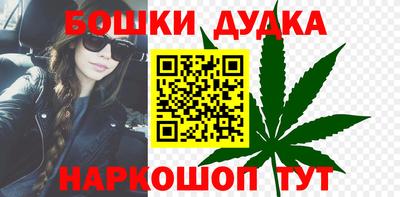 индика Рузаевка