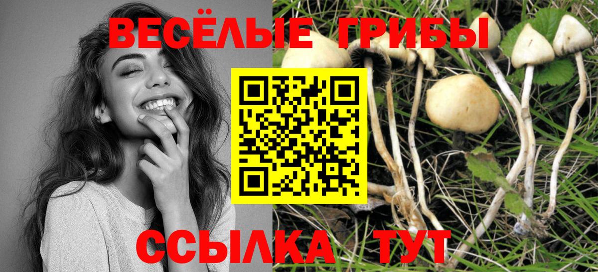 Галлюциногенные грибы Cubensis  Вход с VPN  Волоколамск 