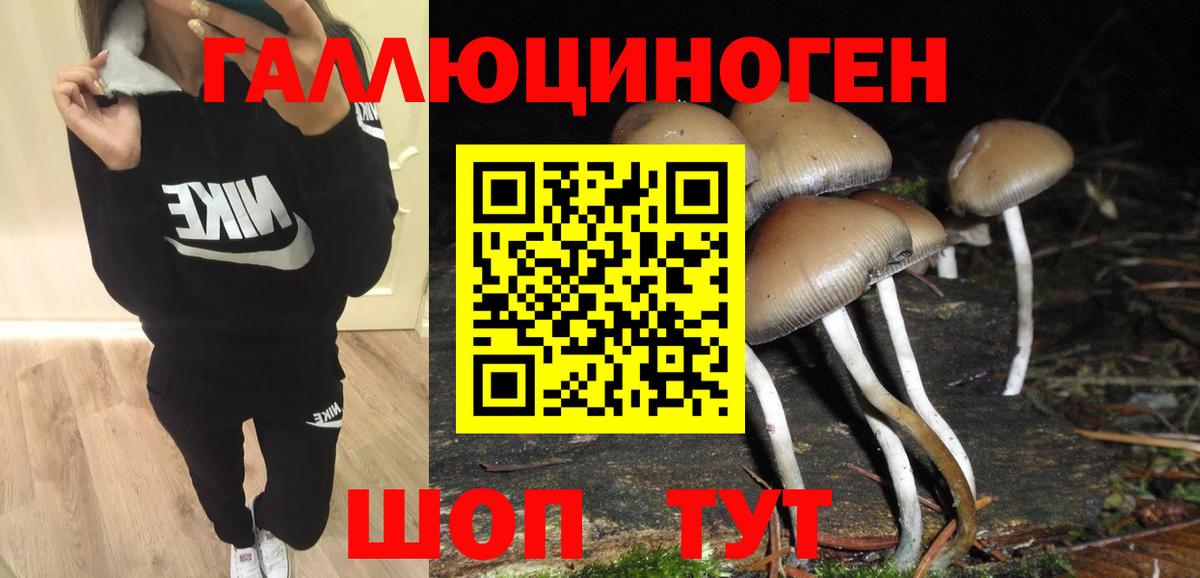 Псилоцибиновые грибы прущие грибы Волоколамск
